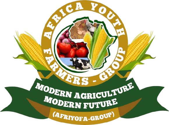 afriyofa-logo